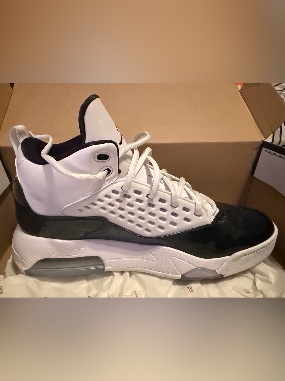 Men's Jordan MAXIN 200
